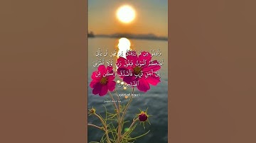 #quran #اكسبلور #قرآن #لايك #تلاوة_خاشعة #راحة_نفسية #duet #تيك_توك #حالات_واتس #ترند