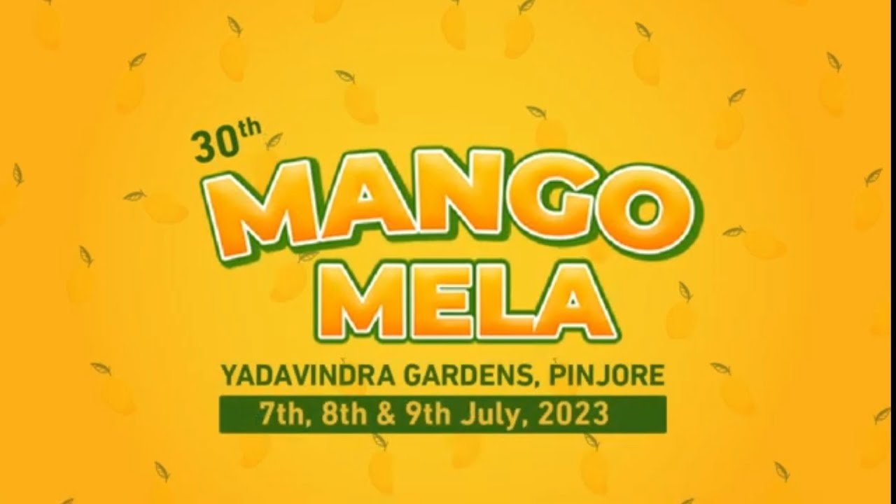 Mango Mela  Festival Pinjore 2023 | Yadvindra Garden Pinjore | Mango Festival Pinjore | आम महोत्सव