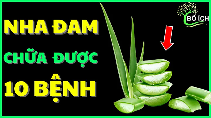 Tin Vui: 10 Lợi Ích Của Nha Đam Chữa Được 10 Căn Bệnh Thường Gặp Nhất- kênh sức khoẻ bổ ích