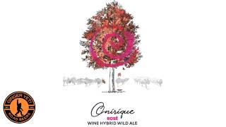 Rare Beer Club: Idyll Forest - Onirique 2025.  A Wine Hybrid Wild Ale with Grenache Grapes