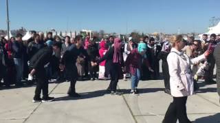 Alucra Sarıkız