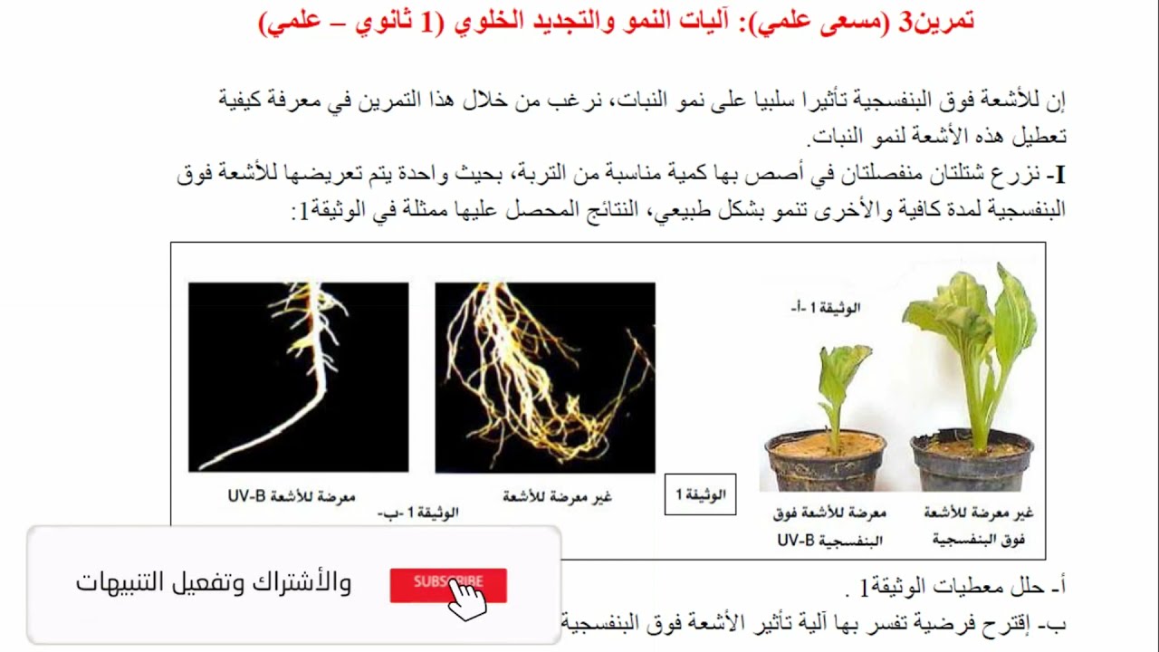 تمرين مسعى علمي اولى ثانوي النموذج 3