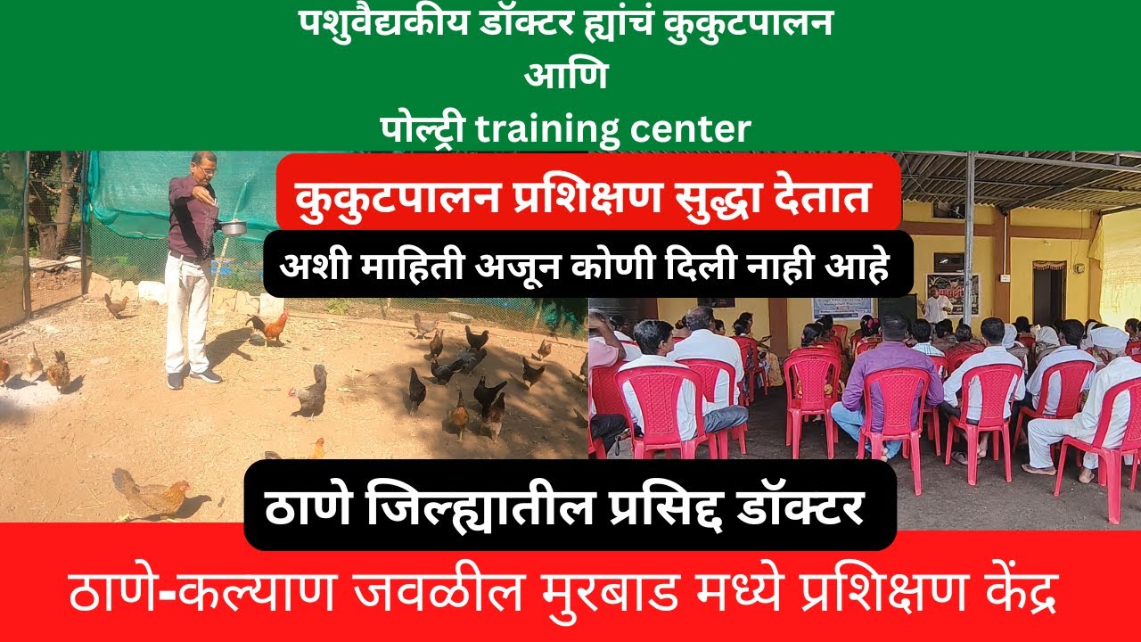 पशुवैद्यकीय डॉक्टर ह्यांचं कुकुटपालन आणि पोल्ट्री training center | poultry farming | murbad | thane
