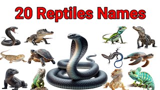 20 Reptile Names Every Kid Should Know | Fun Animal Learning Video 🐊🦎