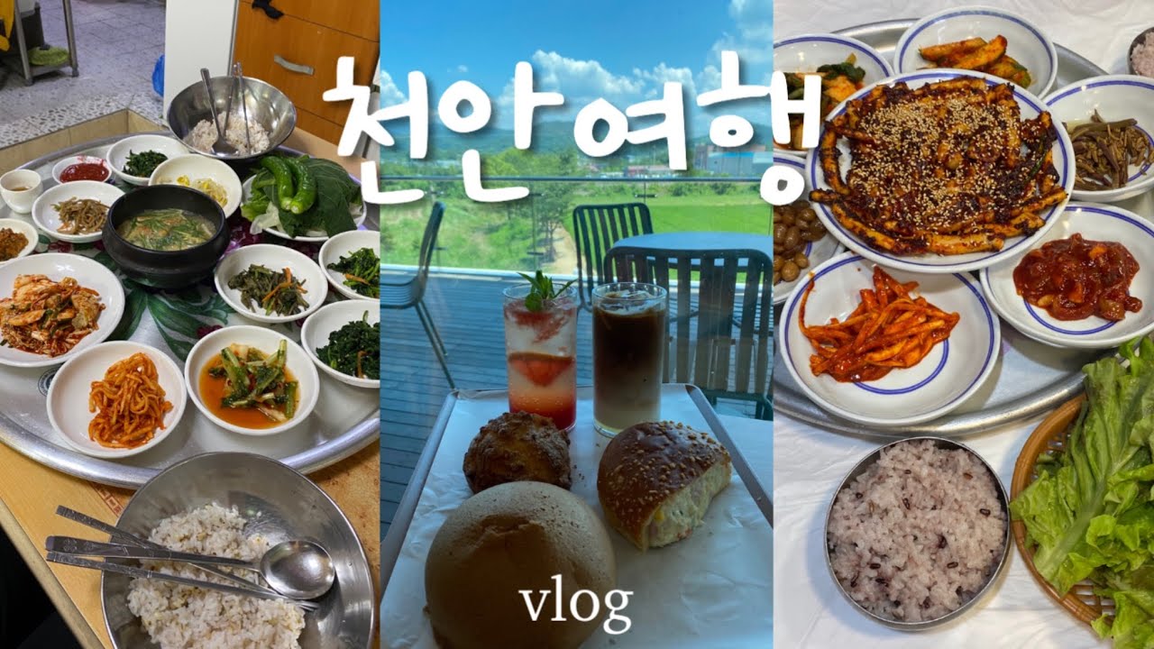 천안여행 브이로그 | 관광 없는 식도락 여행🦑 천안의 성심당! 뚜쥬루 빵돌가마마을, 쌈밥, 산낙지, 오징어석쇠구이, 천안중앙시장 | 맛집, 카페, 숙소, 7월 여름휴가 vlog