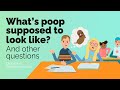 What’s poop supposed to look like? And other questions | Digestive System for Kids