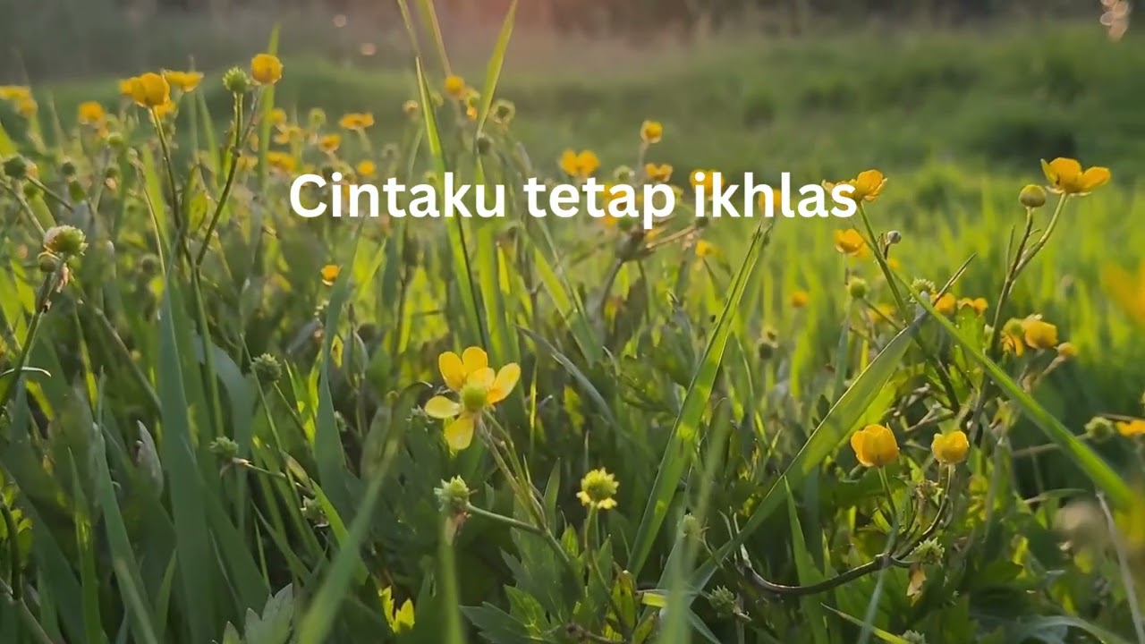 Hatiku Bernyanyi - Cinta yang Tetap Ikhlas | Babe Sufiara