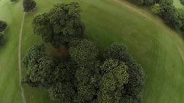 ZMR X 210 FPV | Found a Little Gap