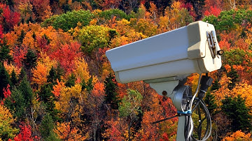 Measuring Plant Phenology from Ground to Space