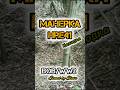 Манерка HRE 41 WW2 ВОВ #shorts #ww2 #metaldetecting #коп #копповойне #находки #ВОВ #металлоискатель