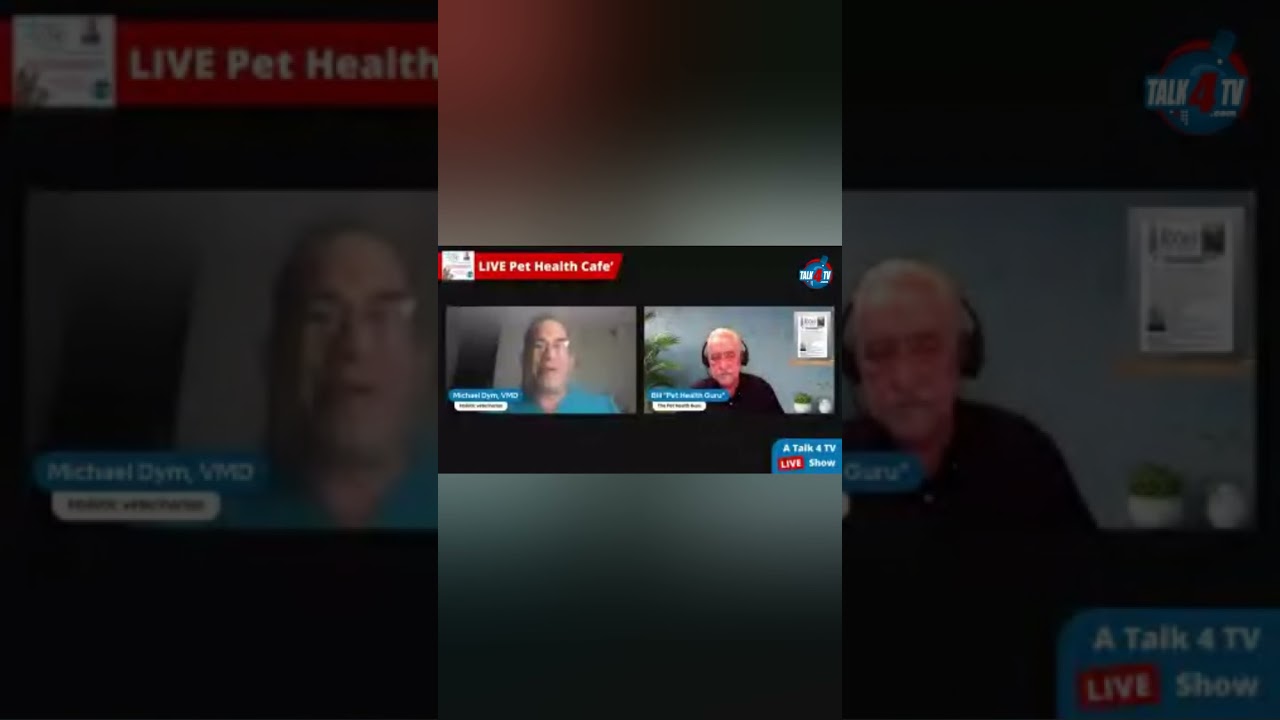 Bill Piechocki discusses summer challenges for pets