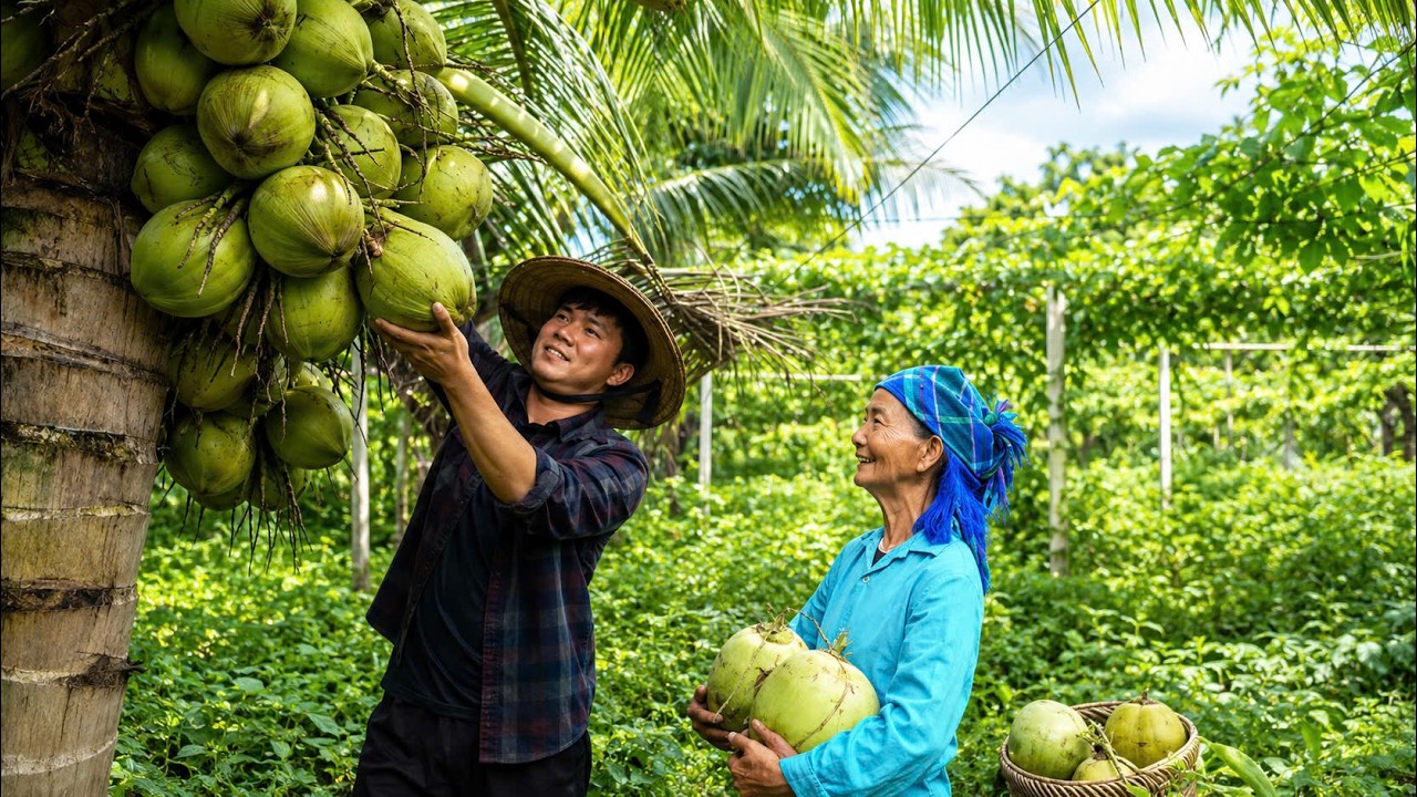 A Day with Grandma: Coconut Harvest, Sweets & Poultry Care