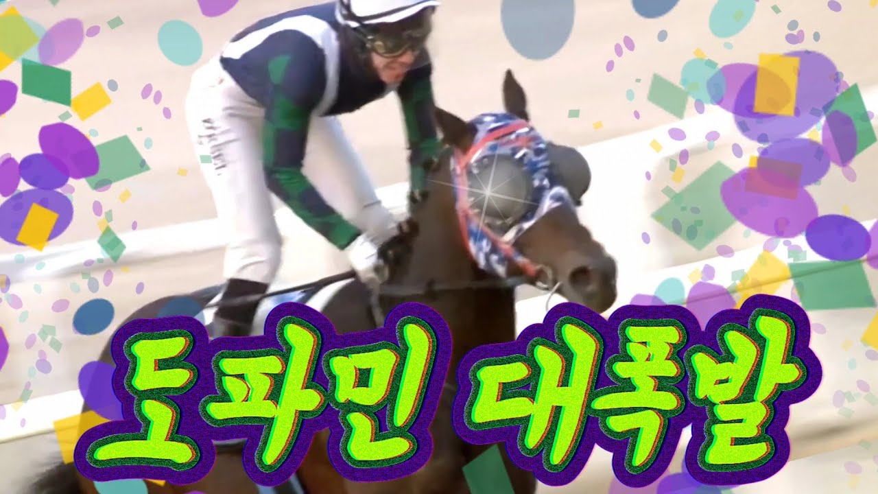 포기와 거부의 벽을 넘어 기회를 잡이라! 벼랑 끝에 선 경주마는 명예를 회복할 것인가. 벨록스보이의 열세번째 경주