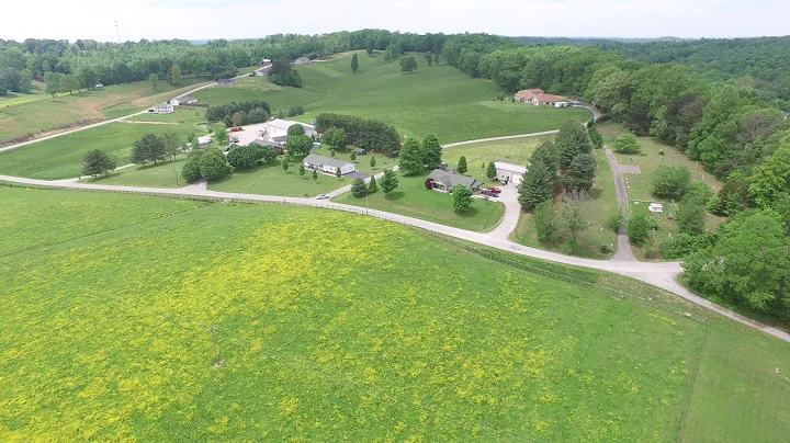 DJI 0603 1