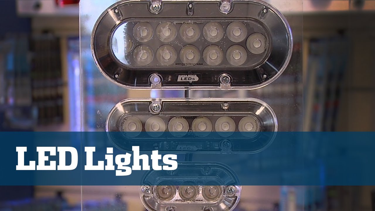 LED Lights For Every Part Of Your Boat - Florida Sport Fishing TV - The Hottest Trend In Boating