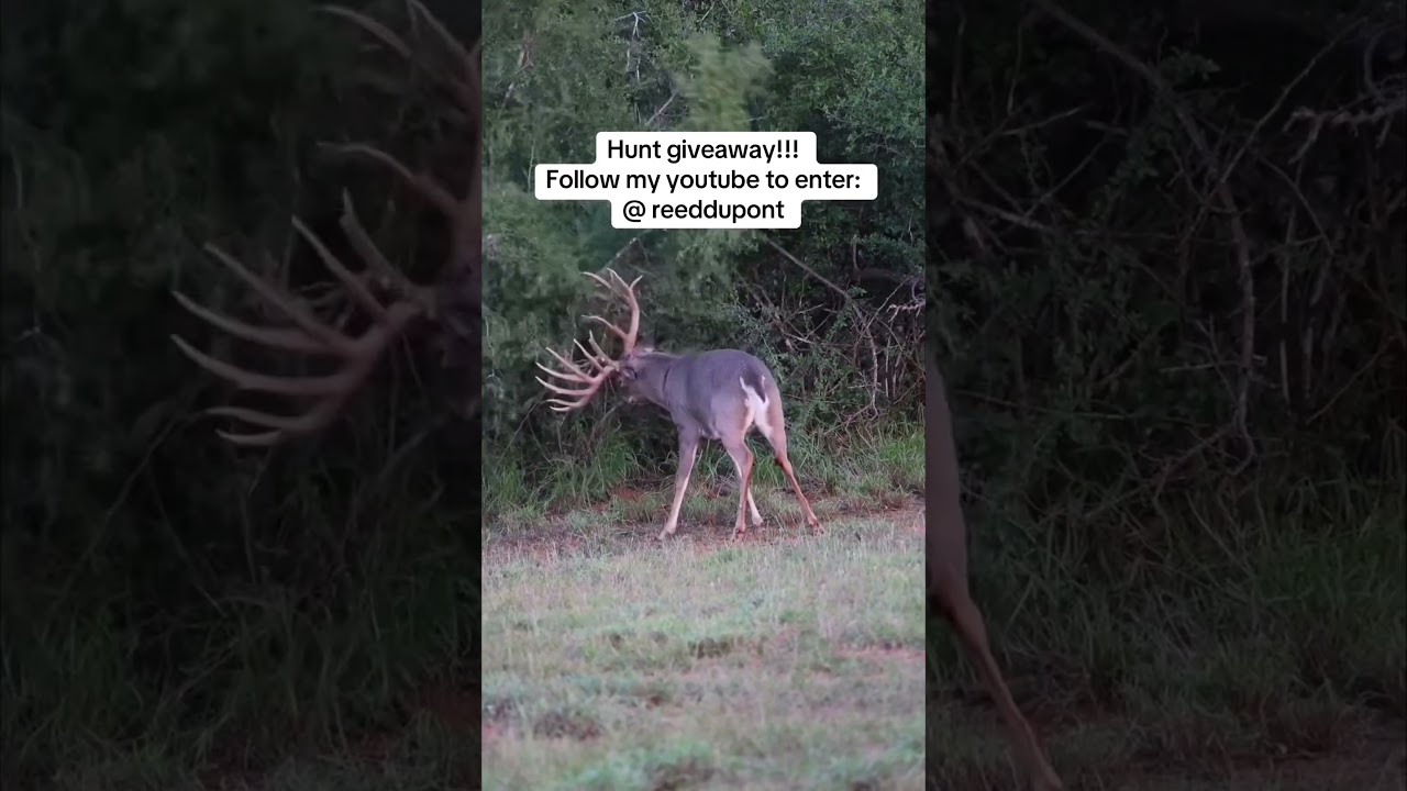 Подпишитесь, чтобы принять участие!!