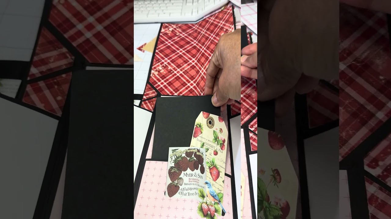 Sneak Peak!!! 2025 MP Mini Folio - July