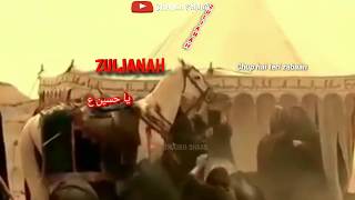 Zuljanah Zuljanah Hain Kahan Baba Jaan Whatsapp Status | Zuljanah Noha Farhan Ali waris |