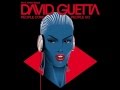 David Guetta feat. Chris Willis - People Come People Go