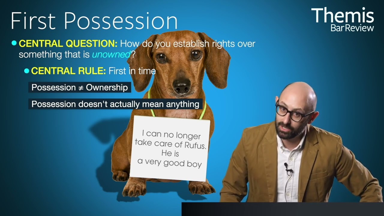 Themis Bar Review - Law School Essentials: First-Year - Property (First ...