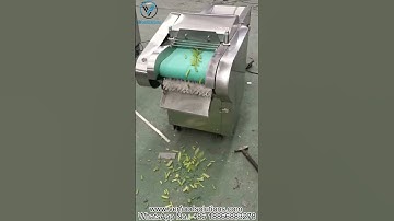 VERFOODSOLUTIONS Chives Water Spinach Celery Leafy Vegetable Cutting Machine Testing Video