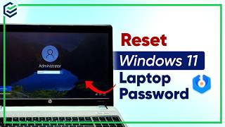 Can’t Remember Your Windows 11 Password? Try These 2 Fixes!