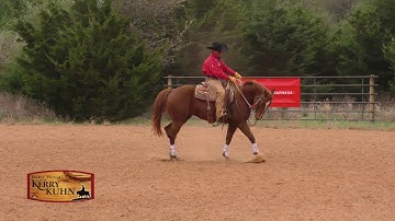 Transition From Walk to the Lope...Training Tip