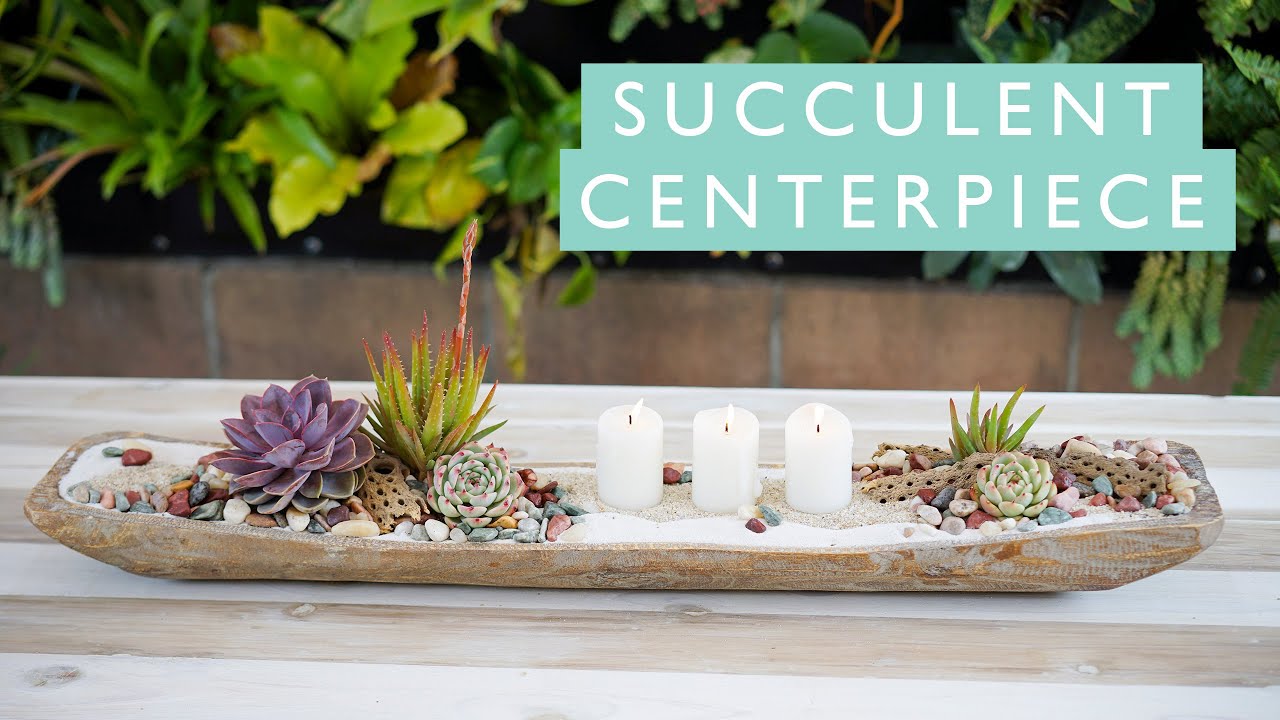 An Easy Succulent Centerpiece