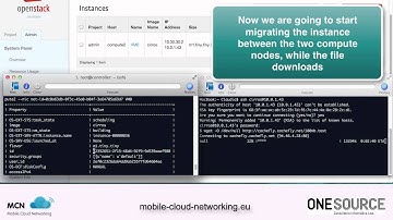 Live migration on OpenStack Havana