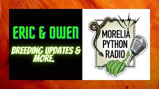 Thoughts on Breeding Pythons w/ Eric & Owen