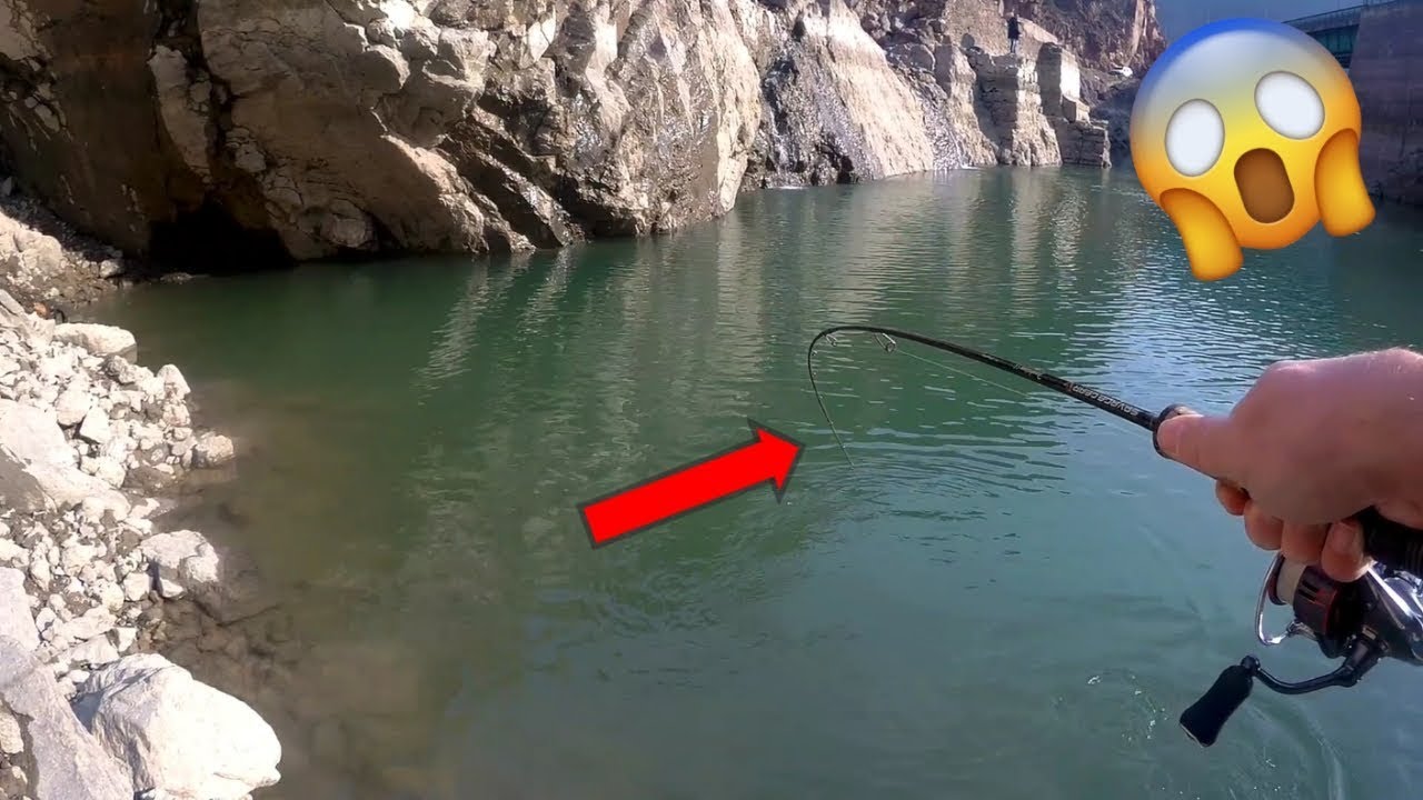 Отличная рыбалка с lrf (Турция)