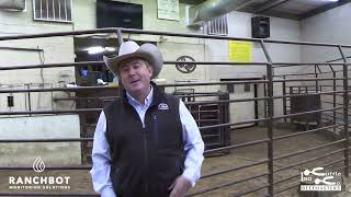 Customer Review - Lorenzo Lasater, ISA Beefmaster