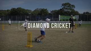 Diamond Cricket screenshot 1
