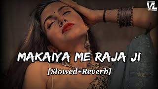 Makaiya Me Raja Ji | Slowed Reverb | मकईया में राजा जी | Pawan Singh, Khushbu Jain | VISH LOFI WORLD