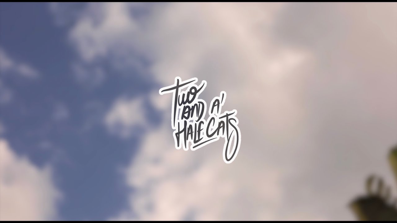 Two and a Half Cats at The Anderson, Miami - 2021