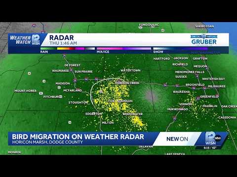 Thousands of birds spotted on Wisconsin radars during migration
