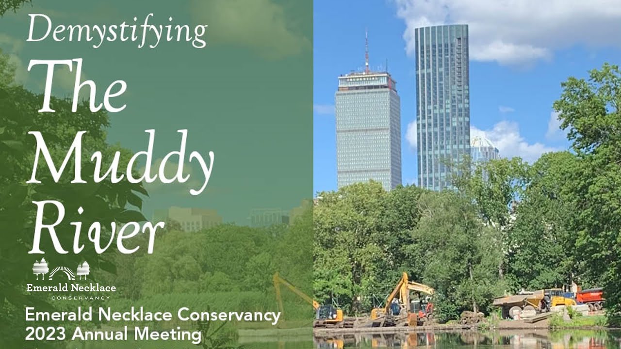 Demystifying the Muddy River Emerald Necklace Conservancy 2023 Annual
