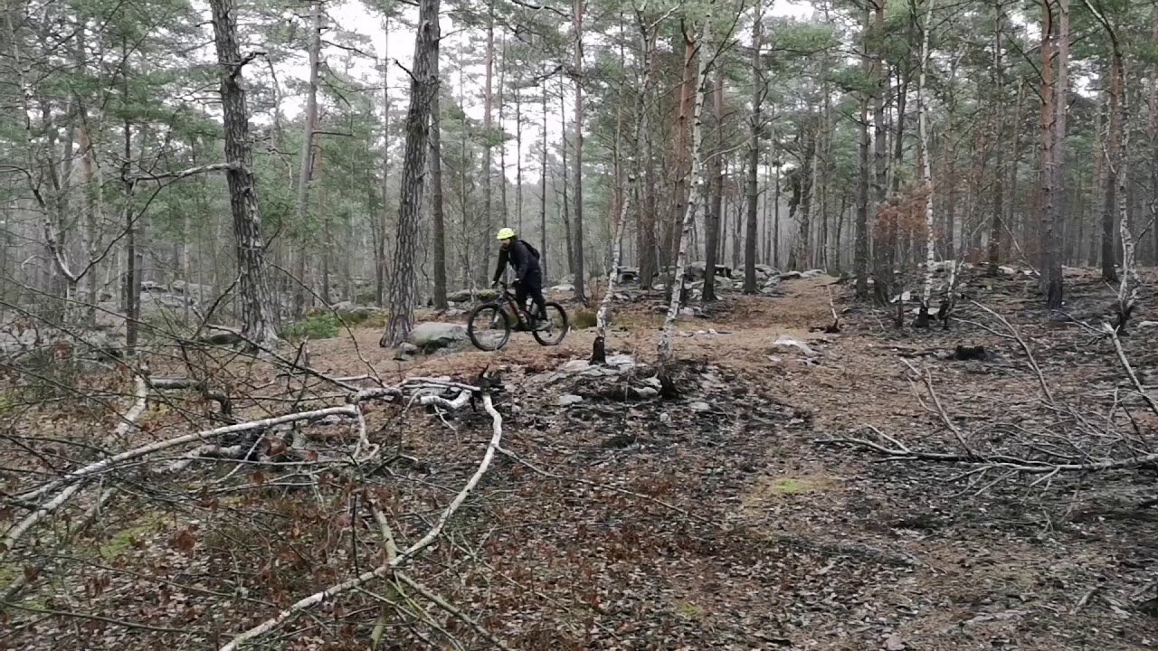 Ermenonville janvier 2019