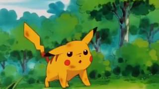 Pokemon Pikachu Tribute