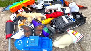 Count to 5 with Polar Bears, Butterflies, Police Cars & Boats