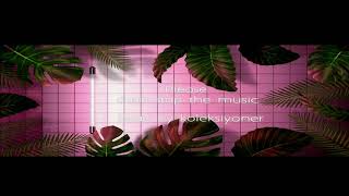 Lofi Beat / Please don't stop the music #beatsbykoleksiyoner
