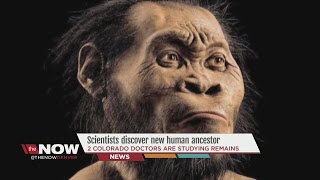 Scientists discover new human ancestor