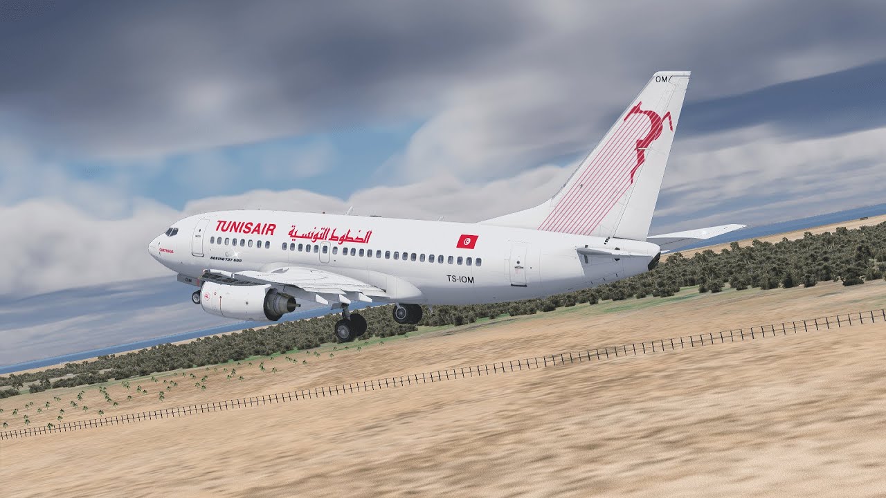 Djerba (DTTJ)✈Geneva (LSGG) | Boeing 737-600 Tunisair [X-Plane 11]