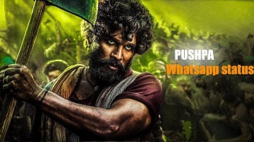 Hookah Bar ft. Allu Arjun edits || Allu Arjun mix status || pushpa whatsapp status | whatsapp status