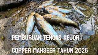 Download Lagu Trip Casting Tengas Kejor Sang Raja di Sungai Pergunungan | Copper Mahseer tahun 2026  MP3