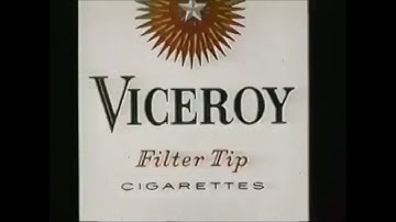 Ode to Viceroy - Mac Demarco Unofficial Music Video