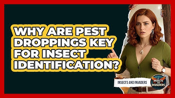 Why Are Pest Droppings Key For Insect Identification? - Insects and Invaders