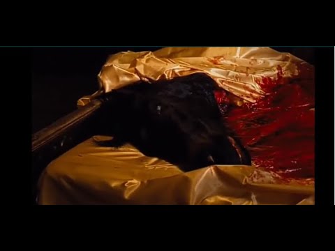 Godfather Part 1 - Horse Head Scene - YouTube