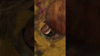 Download Lagu Djarum super espresso gold (Phw 21+) #shorts #iklan #rokok MP3