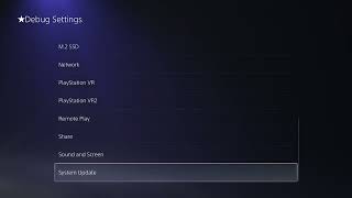 PS5 13.00 & 13.20 Debug Settings, No ETAHEN (Testkit)